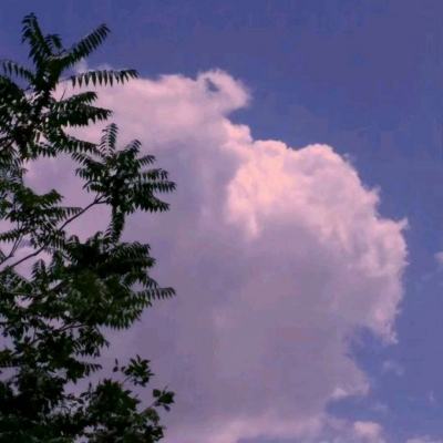 趣游捕鱼旧版本手机版下载