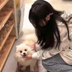 萌略三国体验版下载